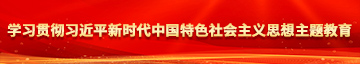 啪啪啪www学习贯彻习近平新时代中国特色社会主义思想主题教育